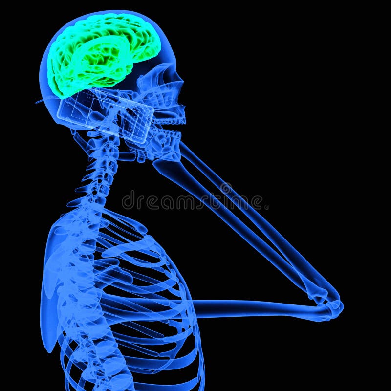 X-ray of a person using mobile phone royalty free illustration
