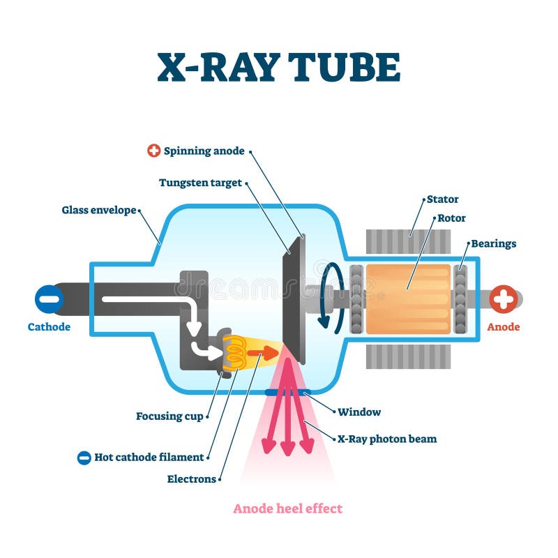 Anode Heel Effect Notes | Radiology imaging, Radiology student, Radiology  technician