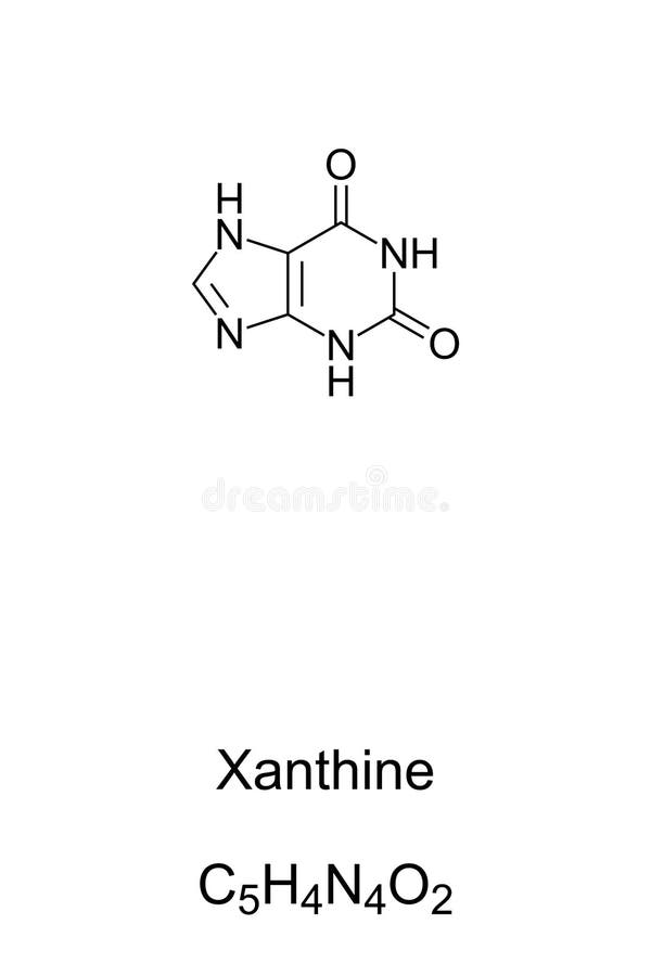 Xanthine, Xanthic Acid, Chemical Formula and Skeletal Structure Stock