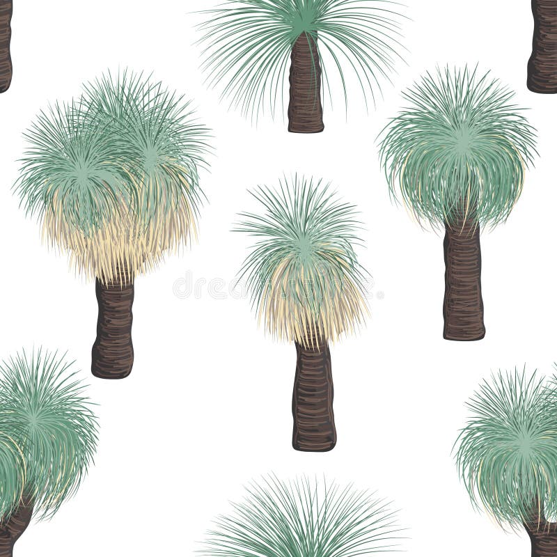 Xanthorrhoea tree seamless pattern. The Grass tree, native Australian endemic flora. Vector illustration. stock photo