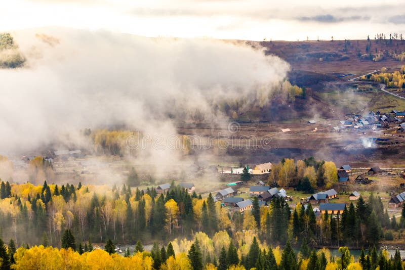 Xinjiang Hemu birch forest autumn