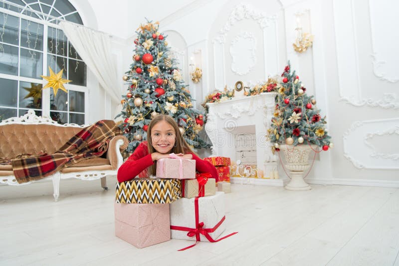 xmas online zakupy Rodzinny wakacje Choinka i teraźniejszość szczęśliwego nowego roku, Zima Boże Narodzenia zdjęcia royalty free xmas online zakupy Rodzinny wakacje Choinka i teraźniejszość szczęśliwego nowego roku, Zima Boże Narodzenia zdjęcia royalty free