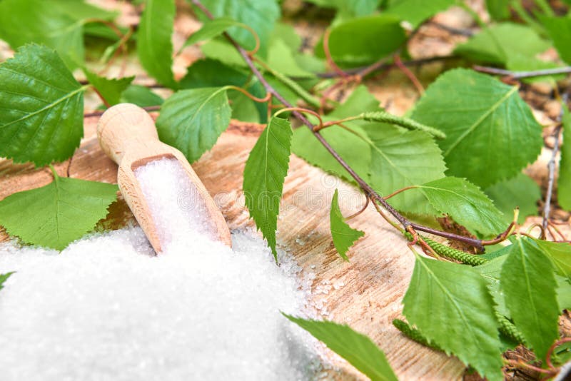 1,002 Trees Stain Stock Photos Free & RoyaltyFree Stock Photos from