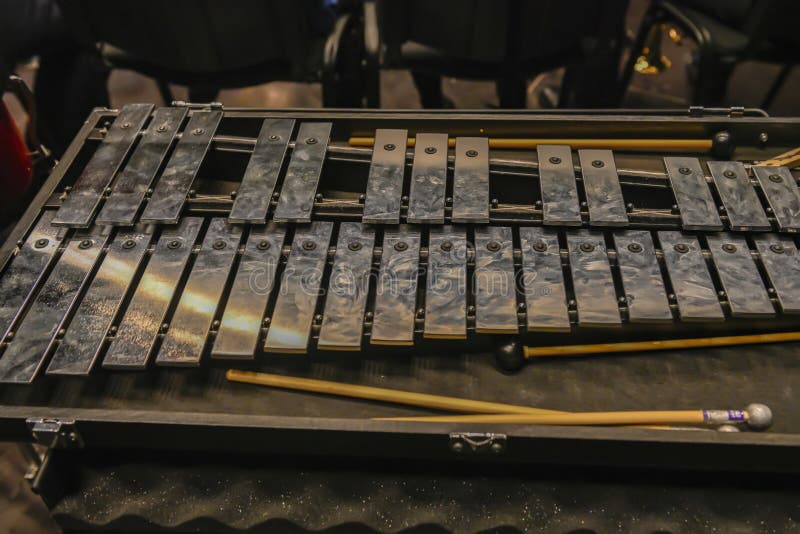 Xylophone Prepared in the Concert Hall. Stock Photo Image of