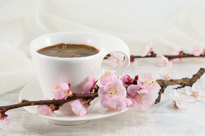 Xícara De Café Com Flores Da Flor De Cerejeira Imagem de Stock Imagem