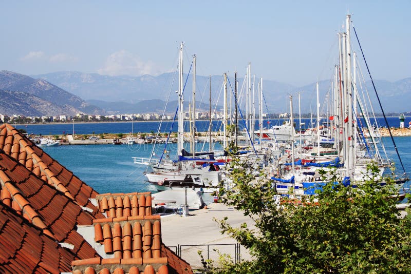 A lot of yachts moored in the quite bay. A lot of yachts moored in the quite bay