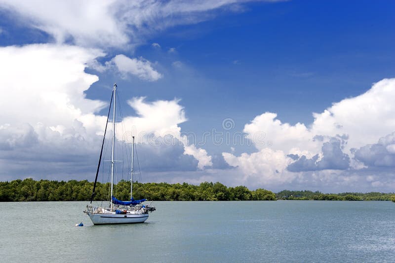 Yacht and Mangrove Swamp stock photography Yacht and Mangrove Swamp stock photography