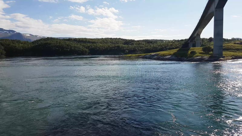 Yachtsegling under bron i kanalen med vatten som kokar i tidvattens- ström Saltstraumen Bodo, Norge