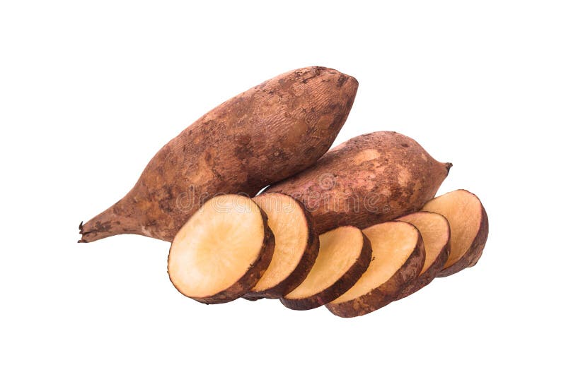 272 Yacon Background Stock Photos Free & RoyaltyFree Stock Photos from Dreamstime