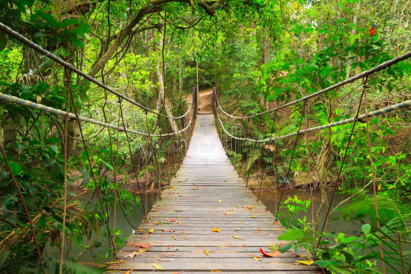 Yai dżungli bridżowy khao Thailand