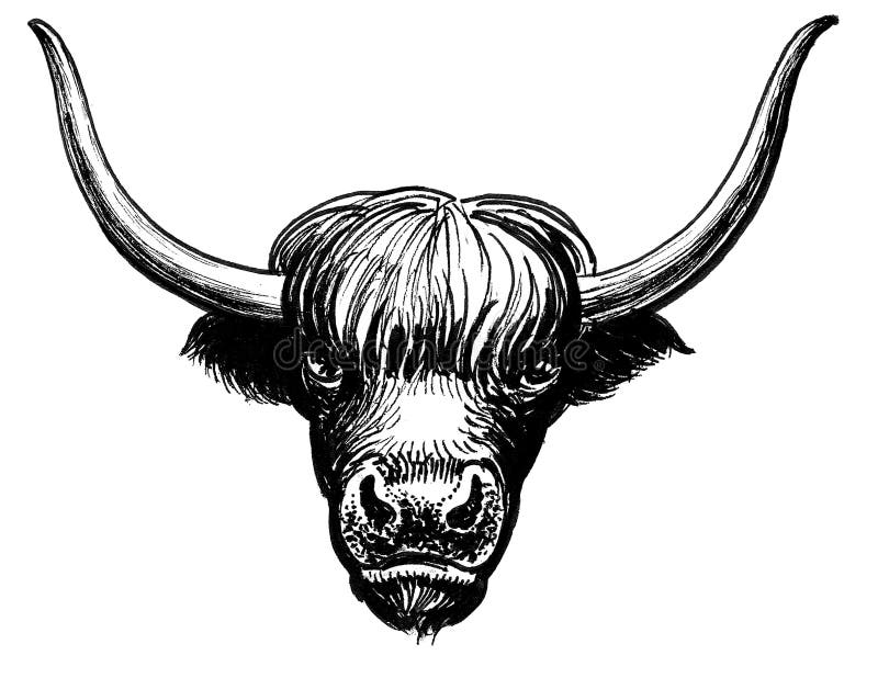 Featured image of post Yak Cartoon Images Black And White Share the best gifs now