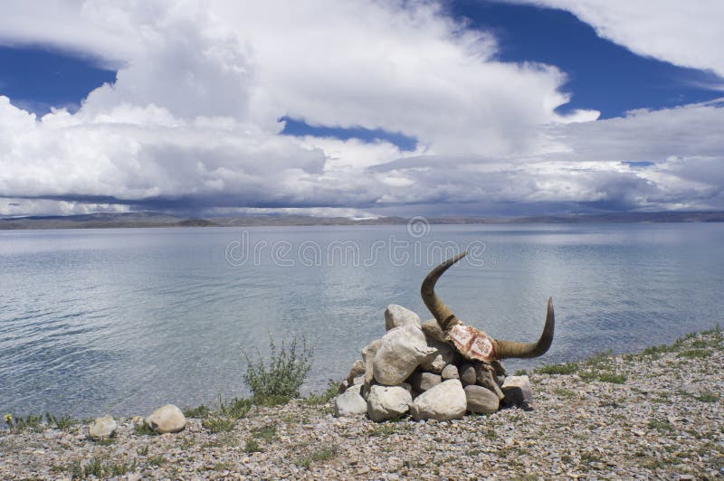 yakyak horn yakyak horn