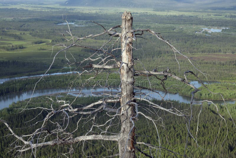 Yakutia stockbild Yakutia stockbild