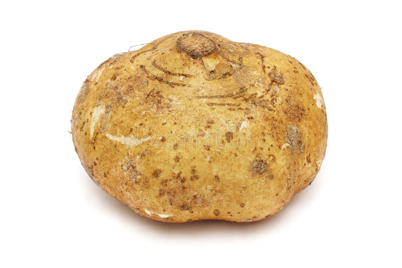 Yam Bean Royalty Free Stock Photography Image 6241967