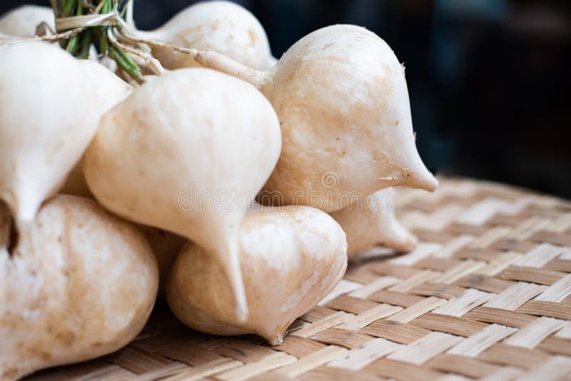 Yam Bean or Jicama Peeled on Black Dish Stock Photo Image of fruit