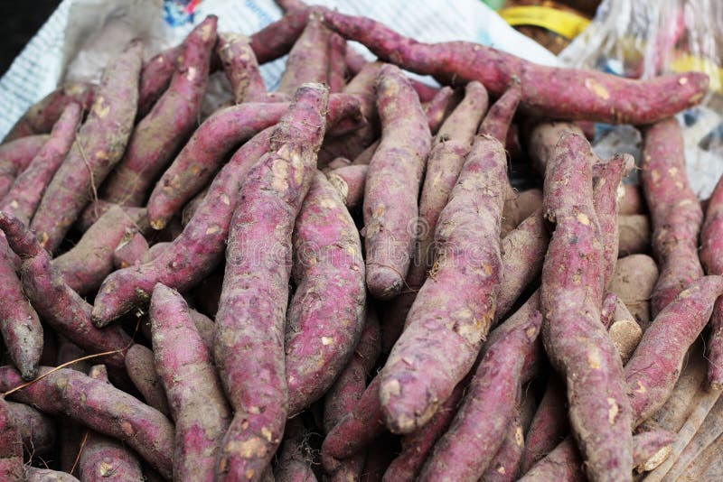 Yam at the market stock image. Image of group, carbohydrate 38212673