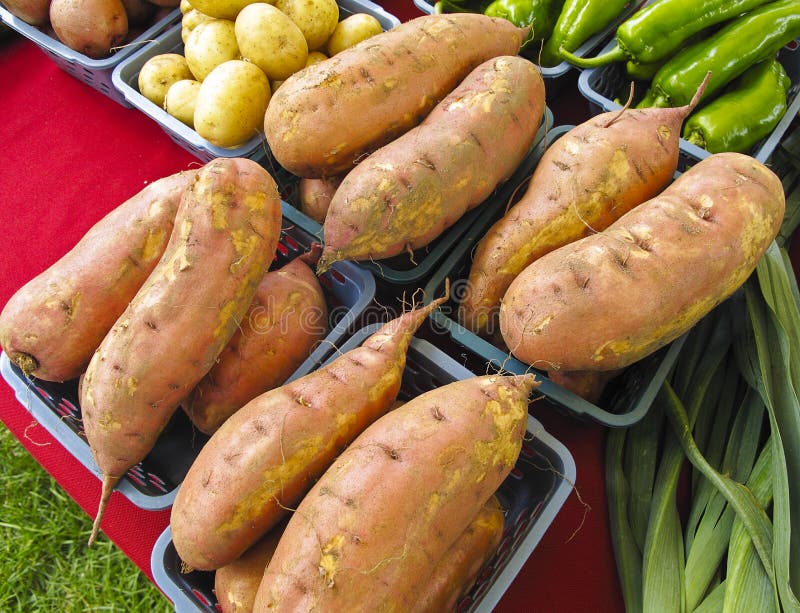 Yams at Farmers Market