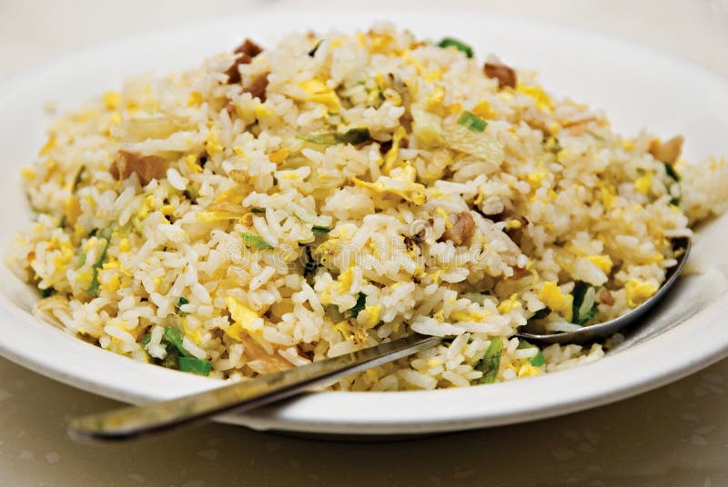 Yang-Futter-chinesischer gebratener Reis