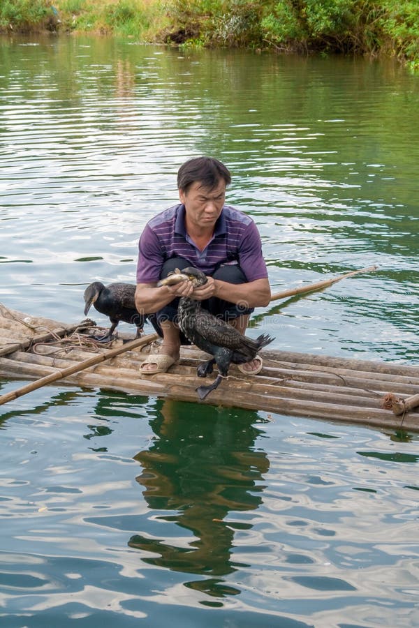 Chinese man fishing with cormorants birds in Yangshuo, Guangxi region. China. stock photo Chinese man fishing with cormorants birds in Yangshuo, Guangxi region. China. stock photo