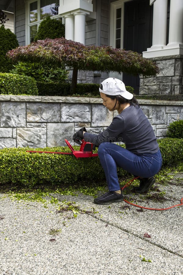 Woman trimming hedges with electric Shares at home. Woman trimming hedges with electric Shares at home