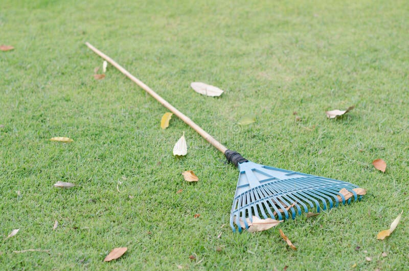 Yard Working and Gardening Tools on Green Grass Stock Image Image of