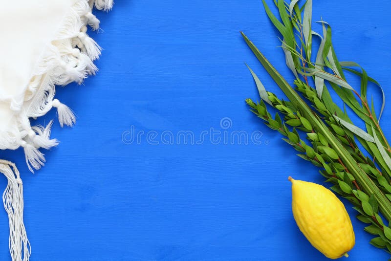 Jewish festival of Sukkot. Traditional symbols & x28;The four species& x29;: Etrog, lulav, hadas, arava. Jewish festival of Sukkot. Traditional symbols & x28;The four species& x29;: Etrog, lulav, hadas, arava