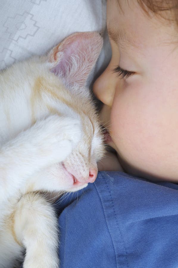 4-year boy and cat sleeping