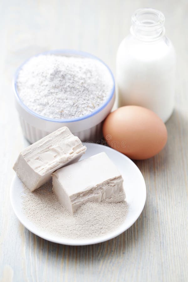 Yeast stock image. Image of yeast, bakery, recipe, fresh 40719659