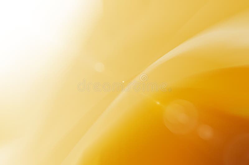 Yellow abstract and sunlight backgroud.