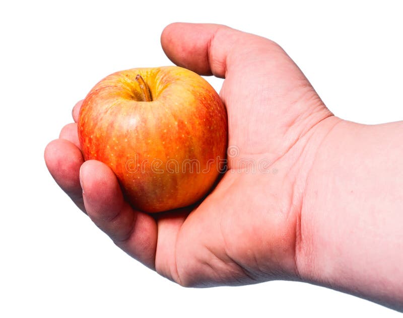The Yellow Apple with Red Spots Lies in a Hand on a White Background in