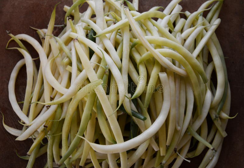 Yellow Asparagus Beans is a Useful Vegetable in the Diet Stock Image
