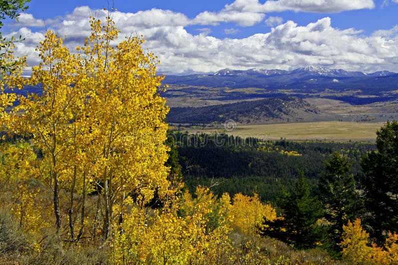 Yellow Aspens above mountain valley