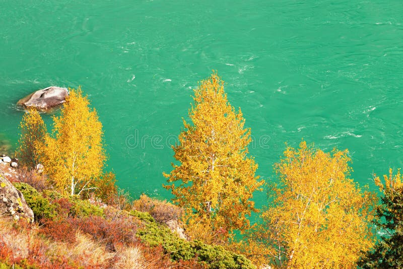 328 Fall Russia Birches Sky Photos Free And Royalty Free Stock Photos