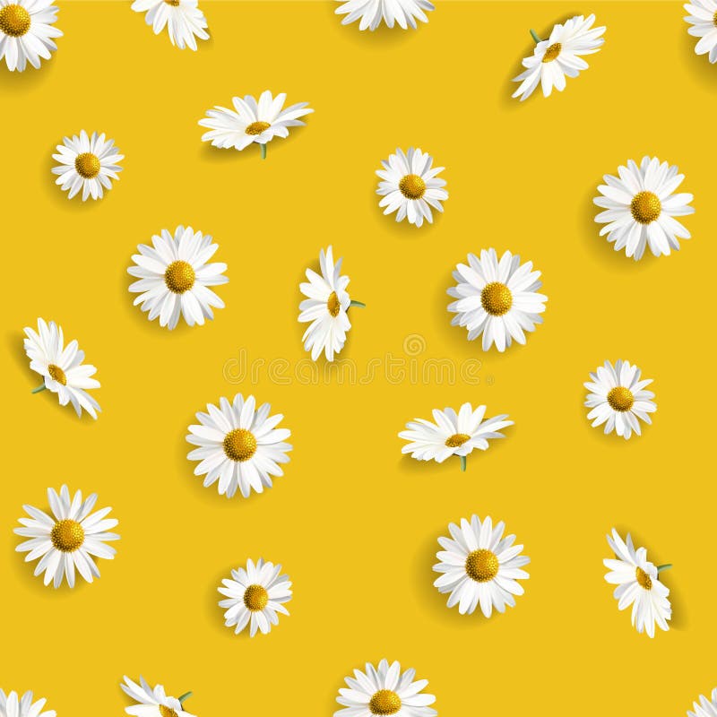 715_Yellow-background-daisies Stock Vector - Illustration of nature