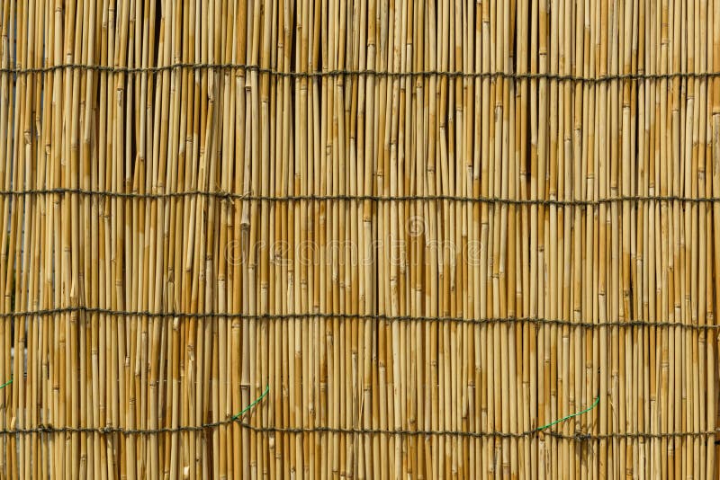 yellow bamboo curtain wooden background