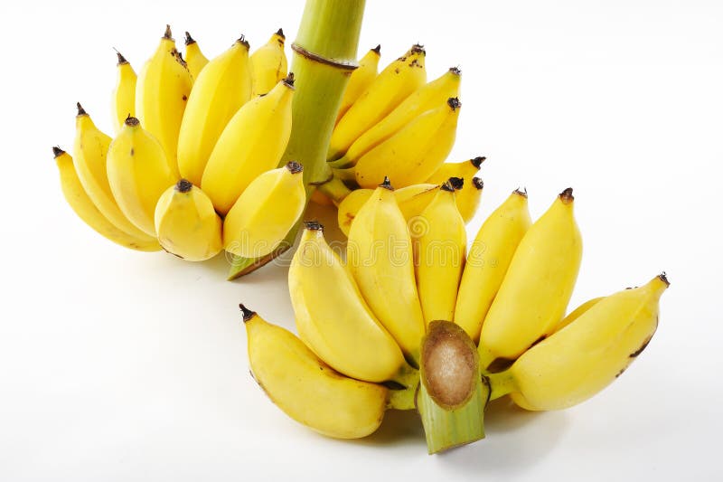 Yellow banana bunch