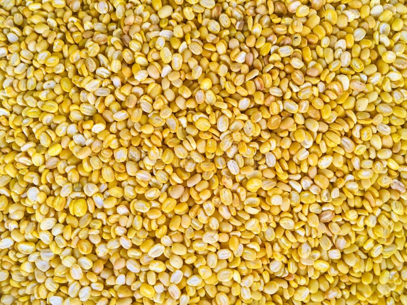 Yellow Bean Seeds Texture Close Up 110503136 