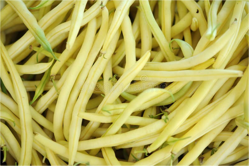 Yellow beans stock image. Image of vitamin, pile, background 34997873