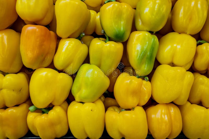 Yellow Bell Peppers in a Pile Ready for Sale Stock Image Image of