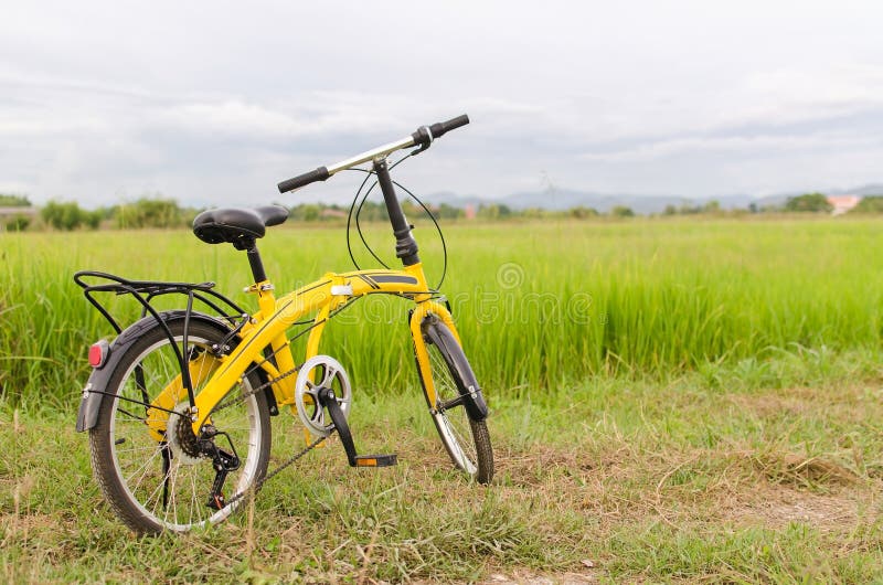 Yellow Bicycle in Green Filed. Stock Image Image of vintage, sport