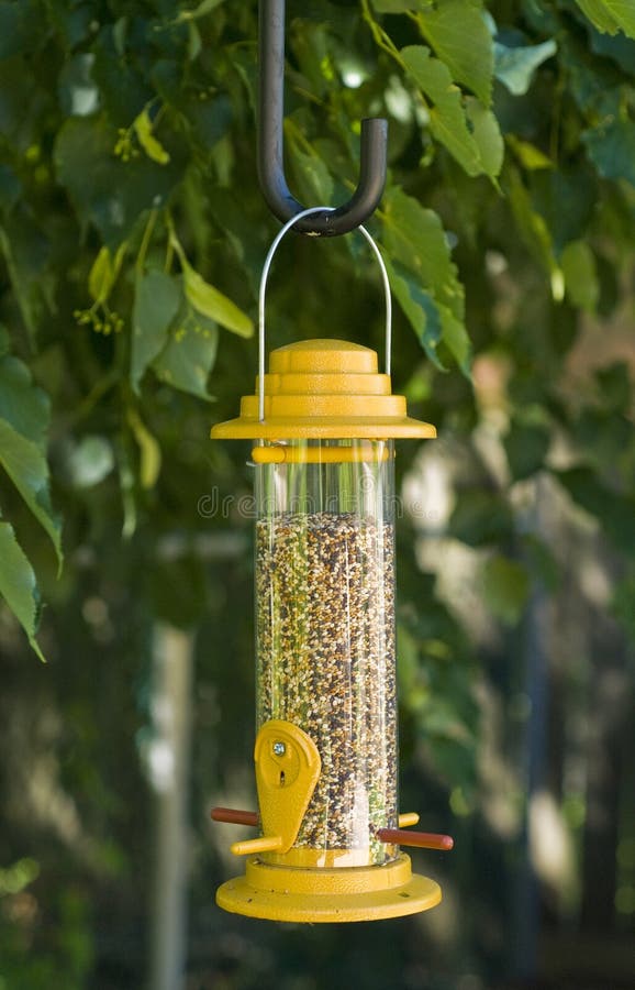 Yellow Bird Feeder stock image. Image of finch, garden 14550447