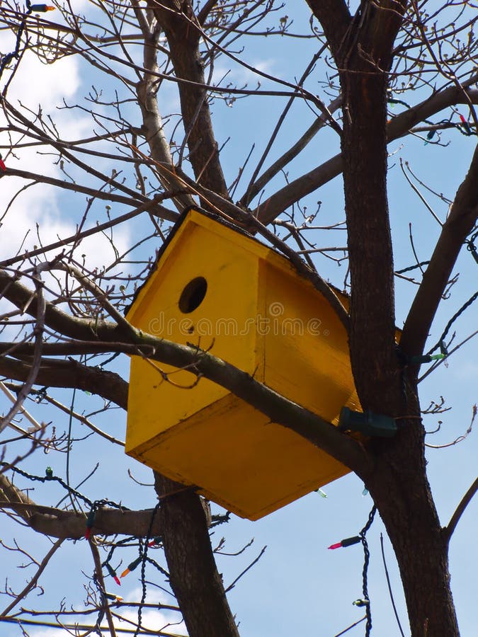 Yellow Birdhouse stock photo. Image of tree, country, home 650532