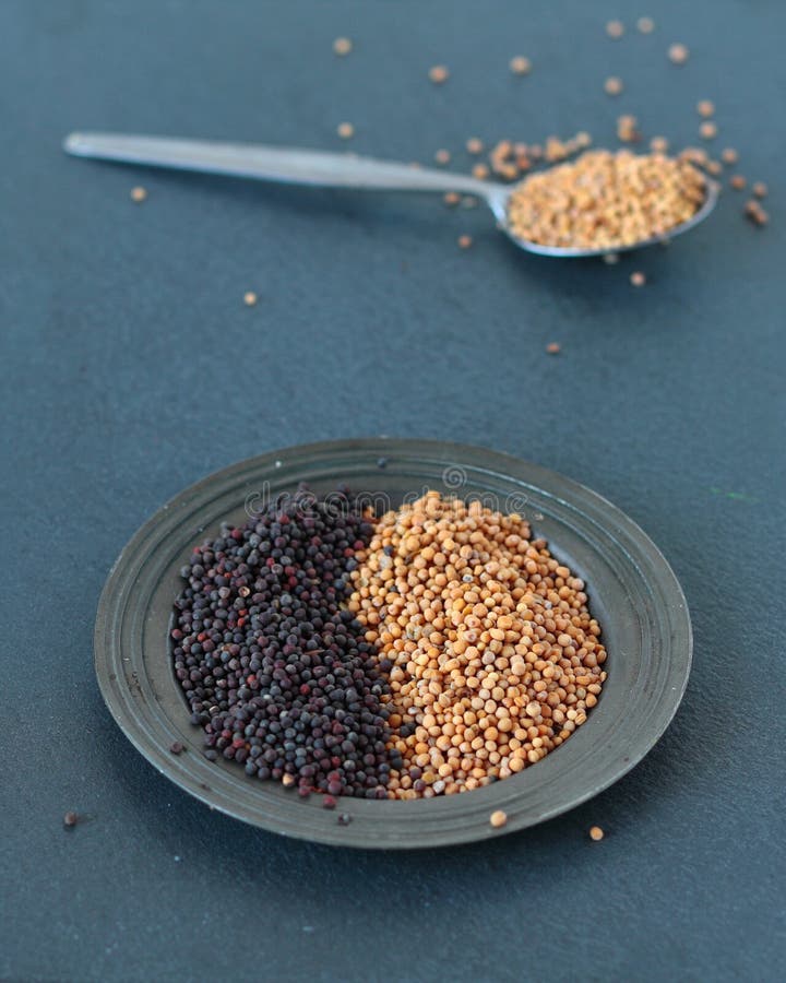 Yellow and Black Mustard Seeds Stock Photo Image of yellow