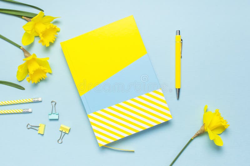 Yellow-blue notebook, pen, clips, spring flowers daffodils narcissus on blue background. Female desktop, Office desk, spring