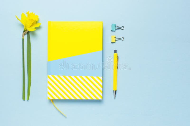 Yellow-blue notebook, pen, clips, spring flowers daffodils narcissus on blue background. Female desktop, Office desk, spring