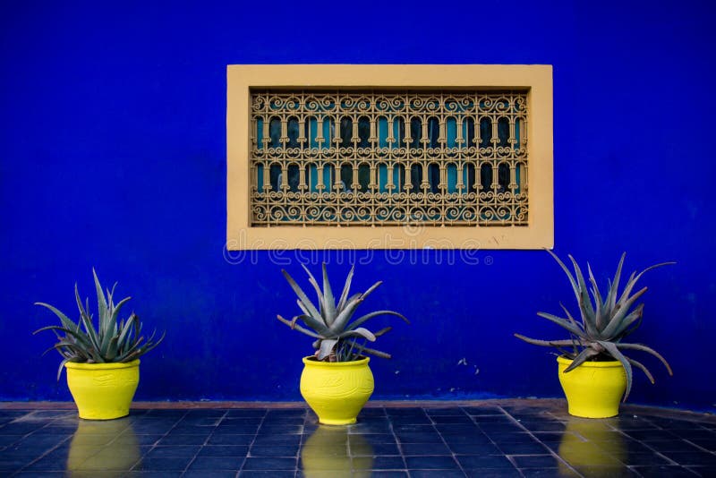 Potted Plants and Window with Decorative Grill, in Marrakesh (Morocco). Image with Copyspace