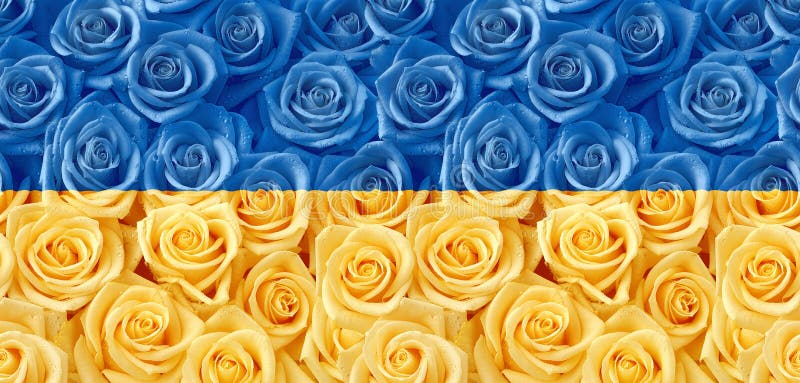 Ukrainian flag made from roses seamless pattern. Ukrainian flag made from roses seamless pattern