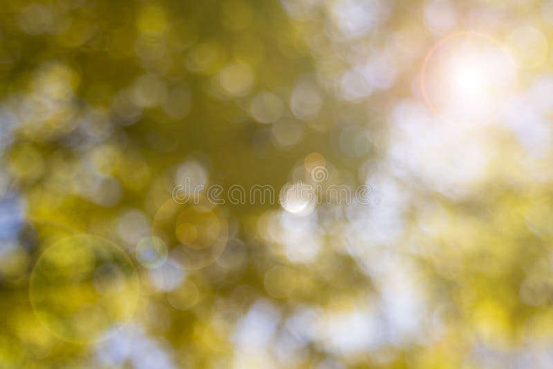 Cùng đón xem những bức ảnh với nền vàng mờ với hiệu ứng Lens Flare để cảm nhận sự tinh tế từ ánh sáng. Sự pha trộn của màu và ánh sáng tạo thành một bức tranh vô cùng đẹp mắt, đưa bạn đến những cảm xúc khác nhau mỗi khi xem.