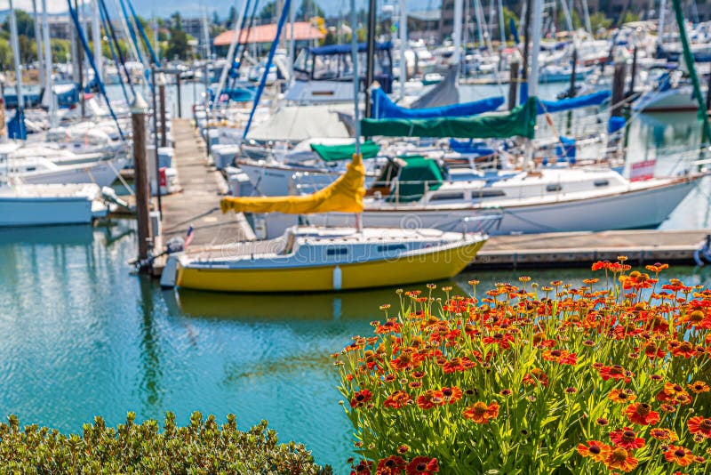 Yellow Boat Past Orange Flowers