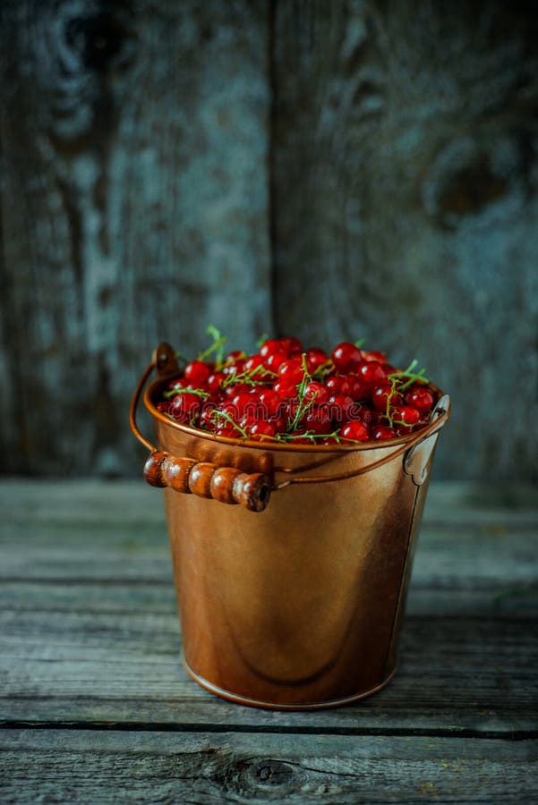 Yellow Brass Bucket with Berry of Red Currant. Which Stand on Wood